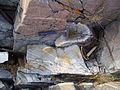 Isoclinal folds and shearing in an orthogneiss
